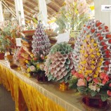 กฐินวัดช้างคลอด9