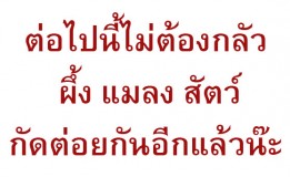 ต่อไปนี้ไม่ต้องกลัว. ผึ้ง แมลง. สัตว์กัดต่อยกันอีกแล้วน๊ะ