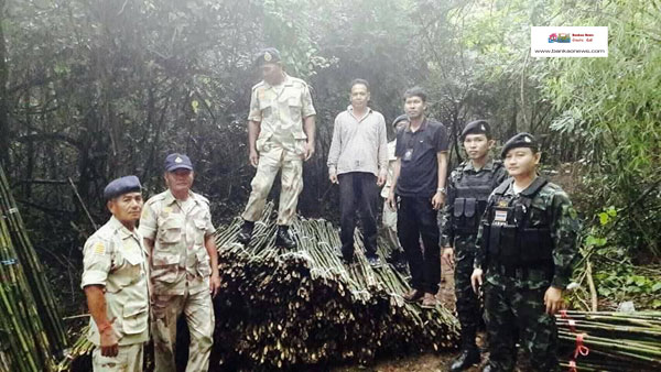 นายอำเภอหนองหญ้าปล้อง จังหวัดเพชรบุรีลงพื้นที่ตรวจสอบกรณีมีการแจ้งว่ามีการลักลอบตัดไม้รวกในเขตป่าหนองหญ้าปล้อง