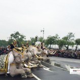 มูลนิธิพระคชบาลนำช้าง  11  เชือก มาหมอบกราบสักการะพระบรมศพ  พระบาทสมเด็จพระปรมินทรมหาภูมิพลอดุลยเดช