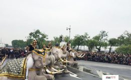 มูลนิธิพระคชบาลนำช้าง  11  เชือก มาหมอบกราบสักการะพระบรมศพ  พระบาทสมเด็จพระปรมินทรมหาภูมิพลอดุลยเดช