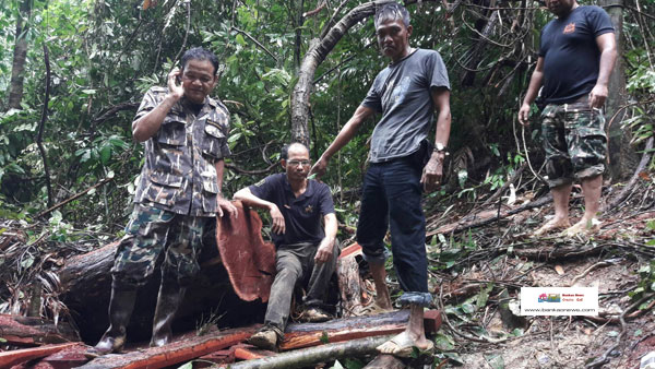 นายอำเภอปะเหลียน  จังหวัดตรังร่วมตรวจสอบและจับกุมผู้กระทำผิดตัดไม้วนอุทยานน้ำตกพ่าน