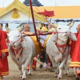 ซ้อมใหญ่งานพระราชพิธีพืชมงคลจรดพระนังคัลแรกนาขวัญ