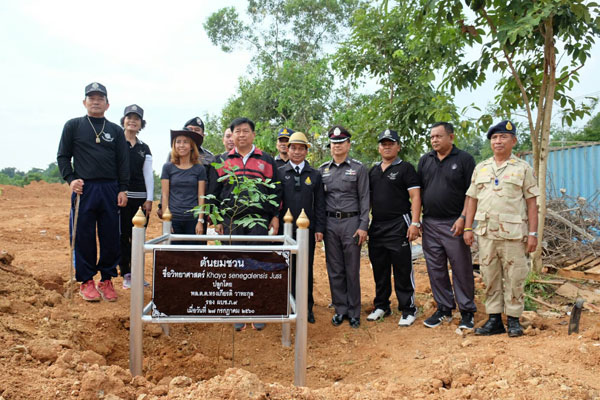 ตำรวจภูธรภาค 9 เปิดโครงการปลูกต้นไม้และพัฒนาด้านสิ่งแวดล้อม เนื่องในโอกาสวันเฉลิมพระชนมพรรษา 65 พรรษา 28 กรกฎาคม 2560