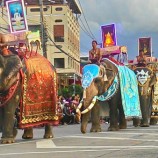 สุดอลังการพิธีเปิดงานมหกรรมแห่เทียนพรรษาบนหลังช้างหนึ่งเดียวในโลกที่จังหวัดสุรินทร์ยิ่งใหญ่ด้วยขบวนช้างเข้าร่วมกว่า 60 เชือก