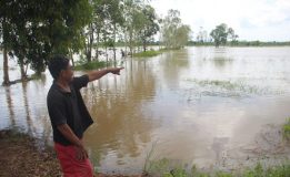 หนองคาย น้ำป่าจากจังหวัดหนองบัวลำภู ไหลเข้าท่วมพื้นที่การเกษตร โดยเฉพาะนาข้าว ในเขตตำบลนาข่า อำเภอท่าบ่อ เสียหายแล้วกว่า 500 ไร่ และกำลังขยายวงกว้างเข้าท่วมพื้นที่การเกษตรในตอนบนเพิ่มขึ้น