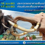 งานต้อนรับและเลี้ยงอาหารช้าง ประจำปี 2560 (ครั้งที่17)