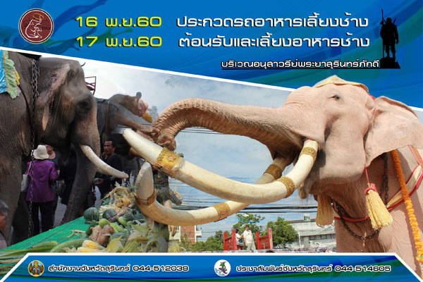 งานต้อนรับและเลี้ยงอาหารช้าง ประจำปี 2560 (ครั้งที่17)