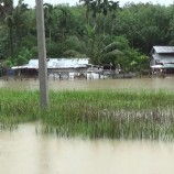 ประมวลภาพสถานการณ์น้ำในอำเภอหาดใหญ่ จังหวัดสงขลาที่ผ่านมา