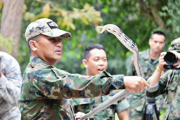 #นาวิกโยธินไทย…สาธิตการดำรงชีพในป่า!!ให้ทหารสหรัฐเกาหลีใต้ในการฝึก#คอบราโกลด์ 2018