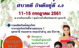 มหกรรมเมืองสมุนไพร สบายดี กินดีอยู่ดี 4.0  วันที่ 11-15 กรกฎาคม 2561