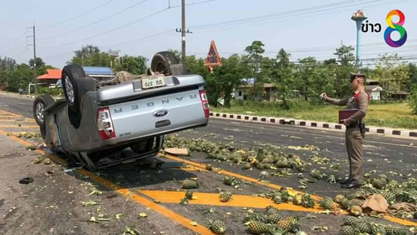 หนองคายกระบะขนสับปะรดเต็มคันพลิกคว่ำเจ็บ 2 คน