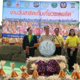 สำนักงานเกษตรจังหวัดสระบุรี จัดงานวันสาธิตเก็บเกี่ยวผลผลิต”โครงการสานพลังประชารัฐเพื่อสนับสนุนการปลูกข้าวโพดหลังฤดูทำงาน”