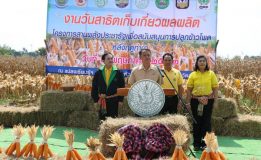 สำนักงานเกษตรจังหวัดสระบุรี จัดงานวันสาธิตเก็บเกี่ยวผลผลิต”โครงการสานพลังประชารัฐเพื่อสนับสนุนการปลูกข้าวโพดหลังฤดูทำงาน”