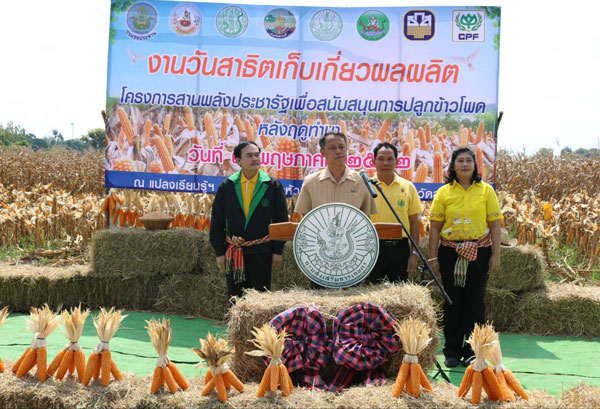 สำนักงานเกษตรจังหวัดสระบุรี จัดงานวันสาธิตเก็บเกี่ยวผลผลิต”โครงการสานพลังประชารัฐเพื่อสนับสนุนการปลูกข้าวโพดหลังฤดูทำงาน”