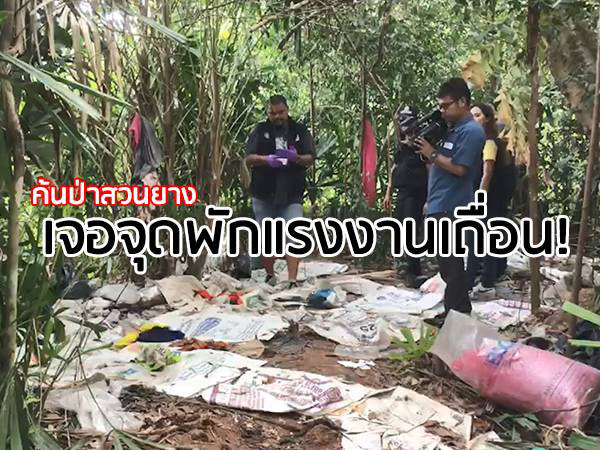 ลุยค้นป่าสวนยางในปาดังฯ พบจุดพักพิงใหญ่แรงงานเถื่อน รอส่งต่อไปมาเลเซีย