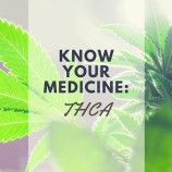 สายพันธุ์กัญชาไทย THCa สูง เหมาะสำหรับใช้ต้านการอักเสบ ( Anti-Inflammatory ) และ การป้องกันระบบประสาท ( Neuro-Protectant )