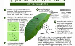 ญี่ปุ่นจดสิทธิบัตรใบกระท่อม