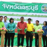 สนง.เกษตรจังหวัดสระบุรี จัดงาน “วันรณรงค์เพื่อควบคุมและป้องกันการแพร่ระบาดโรคใบด่างมันสำปะหลัง” ประจำปี 2562