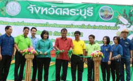 สนง.เกษตรจังหวัดสระบุรี จัดงาน “วันรณรงค์เพื่อควบคุมและป้องกันการแพร่ระบาดโรคใบด่างมันสำปะหลัง” ประจำปี 2562