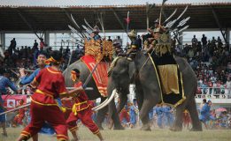 ผู้ว่าฯ สุรินทร์ขอเชิญชมการแสดงของช้างสุดตระการตา  ใน “งานแสดงของช้างสุรินทร์ ครั้งที่ 59”