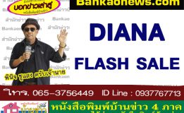 DIANA FLASH SALE