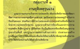 แต่ละกลุ่ม​งานของผู้แทนพิเศษของ​รัฐบาล​