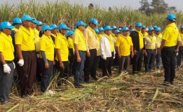 “บ้านผือสนองนโยบายบาลรัฐบาล และข้อสั่งการของผู้ว่าราชการอุดรธานี ตัดอ้อยสด งดเผาอ้อย”