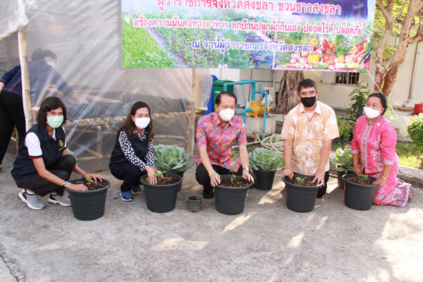 พ่อเมืองสงขลา นำร่อง ปลูกพืช ปลูกผัก สร้างความมั่นคงทางอาหาร สู้ภัยวิกฤตโควิด-19