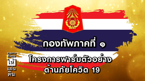 โครงการฟาร์มตัวอย่าง ต้านภัยโควิด 19 ณ บ้านยางกลาง ตำบลสีบัวทอง อำเภอแสวงหา จังหวัดอ่างทอง