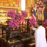 จ.สุราษฎร์ธานีจัดพิธีเจริญพระพุทธมนต์สมโภชพระพุทธนวราชบพิตร เฉลิมพระเกียรติสมเด็จพระนางเจ้าสุทิดา พัชรสุธาพิมลลักษณ พระบรมราชินี เนื่องในโอกาสมหามงคลวันเฉลิมพระชนมพรรษา ๔๒ พรรษา ๓ มิถุนายน ๒๕๖๓