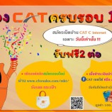 วันนี้​ CAT ครบรอบ​ 17 ปีแล้วค่า พิเศษ