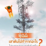 CAT Tree Tower หรือเสาต้นไม้ทำมาจากอะไร?