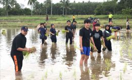 คณะเกษตร มรภ.สงขลา สืบสานวัฒนธรรมข้าว ปีที่ 3 กิจกรรมปักดำ ตามแนวพระบรมราโชบายถวายในหลวง ร.10