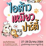 ไดอาน่า หาดใหญ่จัดกิจกรรมไอต้าวเหมียว ปาร์ตี้