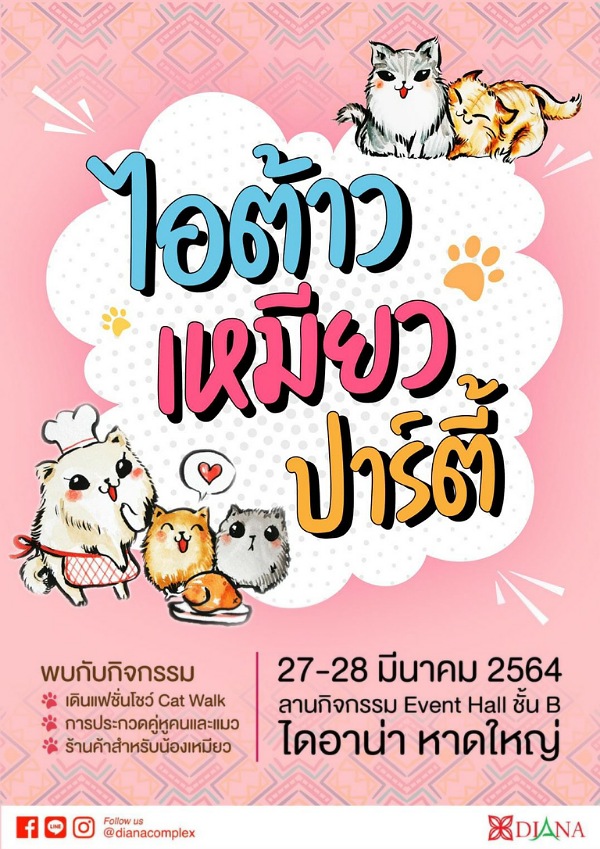 27-28 มีนาคมนี้ #ทาสแมวห้ามพลาด ร้านค้าเพื่อไอต้าวแมว มากมาย