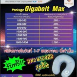 โปรอินเตอร์เน็ตเด็ดกว่านี้ไม่มีแล้ว เริ่มต้นที่ 100/100 Mbps.ราคา​ 290​ บา​ทเท่านั้น