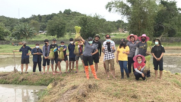 “เกษตร” มรภ.สงขลา สืบสานวัฒนธรรมข้าว ปีที่ 4  ปักดำ ทำแปลงนาสาธิต ตามแนวพระบรมราโชบายถวายในหลวง ร.10