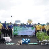 ท่าอากาศยานหาดใหญ่ จัดกิจกรรม “วันรักต้นไม้ประจำปีของชาติ พ.ศ. 2564