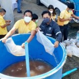 เชฟรอนและบริษัทผู้ร่วมทุนจับมือสมาคมชาวประมงอำเภอสิชล และภาคีจังหวัดนครฯ ปล่อยพันธุ์สัตว์น้ำ เพื่อฟื้นฟูทะเลอ่าวไทย