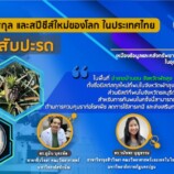 ค้นพบ ยีสต์สกุล และสปีชีส์ใหม่ของโลก ในประเทศไทย จากผิวใบสับปะรด ที่จังหวัดพัทลุง และจังหวัดชลบุรี