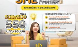 พร้อมลุยทุกสายธุรกิจ! อินเทอร์เน็ต SME มือโปรให้เต็มแมกซ์  NT SME ProMAX
