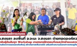 “เกษตร” มรภ.สงขลา ถ่ายทอดองค์ความรู้ขยายพันธุ์ต้นส้มจุก Workshop เกษตรกรฝึกตอนกิ่งและปักชำแบบควบแน่น ช่วยเพิ่มอัตราการรอดของต้นพันธุ์