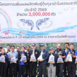 โรงไฟฟ้าขนอม จับมือชุมชนปล่อยกุ้งกุลาดำ 3 ล้านตัว ชุบชีวิตทะเลใต้ หนุนเศรษฐกิจฐานรากเติบโตระยะยาว