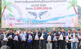 โรงไฟฟ้าขนอม จับมือชุมชนปล่อยกุ้งกุลาดำ 3 ล้านตัว ชุบชีวิตทะเลใต้ หนุนเศรษฐกิจฐานรากเติบโตระยะยาว