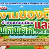 เทศบาลตำบลบางเหรียง “ งานของดีอำเภอควนเนียง และวันกินผัก” ชูจุดแข็งแหล่งปลูกผักปลอดภัยจากสารพิษที่ใหญ่ที่สุดในสงขลา 6-12 พฤษภาคม 2569นี้