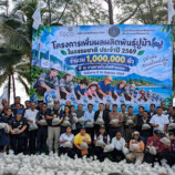โรงไฟฟ้าขนอม ปล่อยพันธุ์ปูม้า 1.5 ล้านตัวสู่ทะเลขนอม เสริมความอุดมสมบูรณ์ระบบนิเวศ หนุนอาชีพประมงชุมชนยั่งยืน