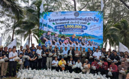 โรงไฟฟ้าขนอม ปล่อยพันธุ์ปูม้า 1.5 ล้านตัวสู่ทะเลขนอม เสริมความอุดมสมบูรณ์ระบบนิเวศ หนุนอาชีพประมงชุมชนยั่งยืน